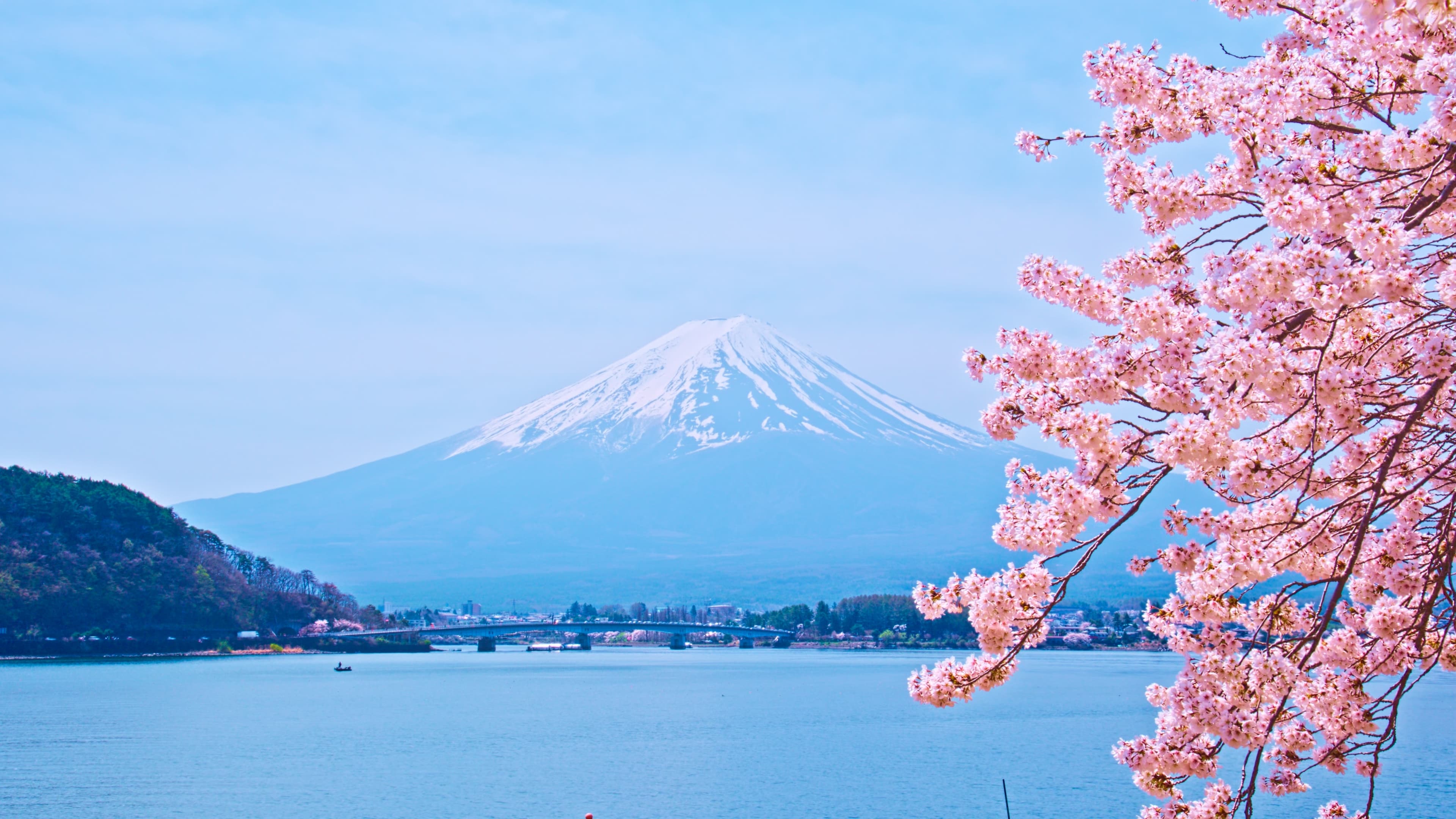 日本の自然風景 4K実写映像 — 待合室・介護施設向け風景帖
